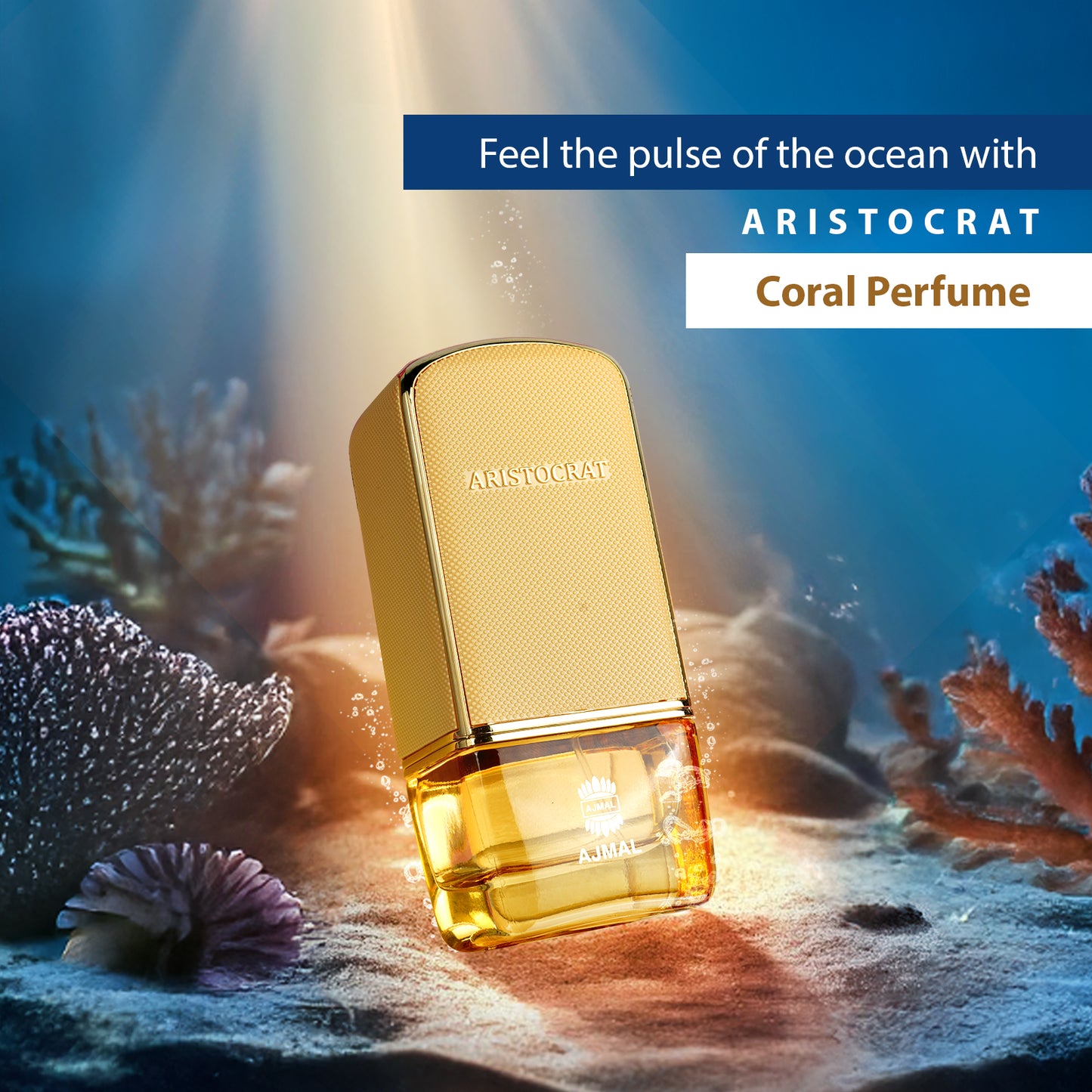 Aristocrat Coral