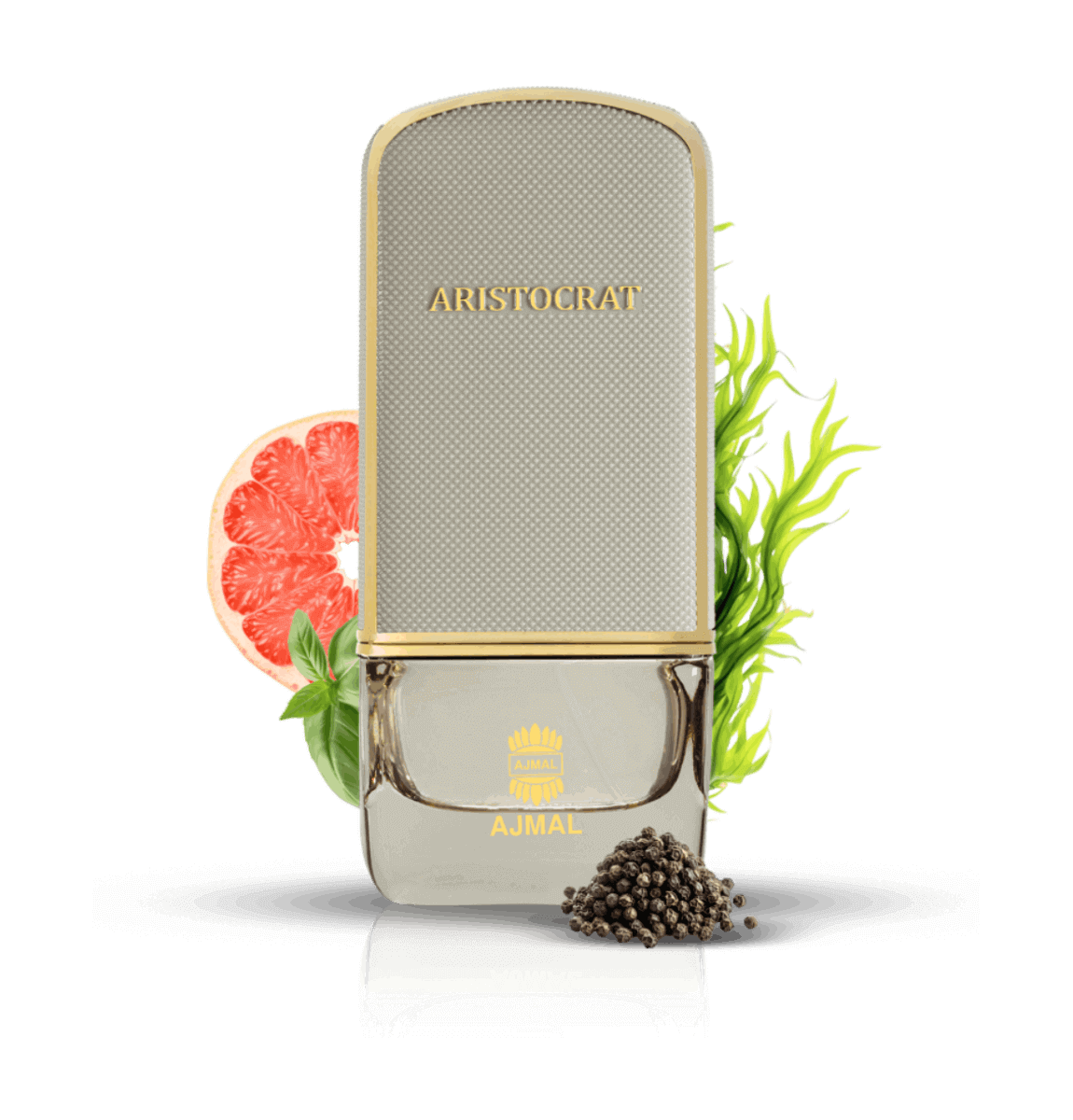 Aristocrat Coastal