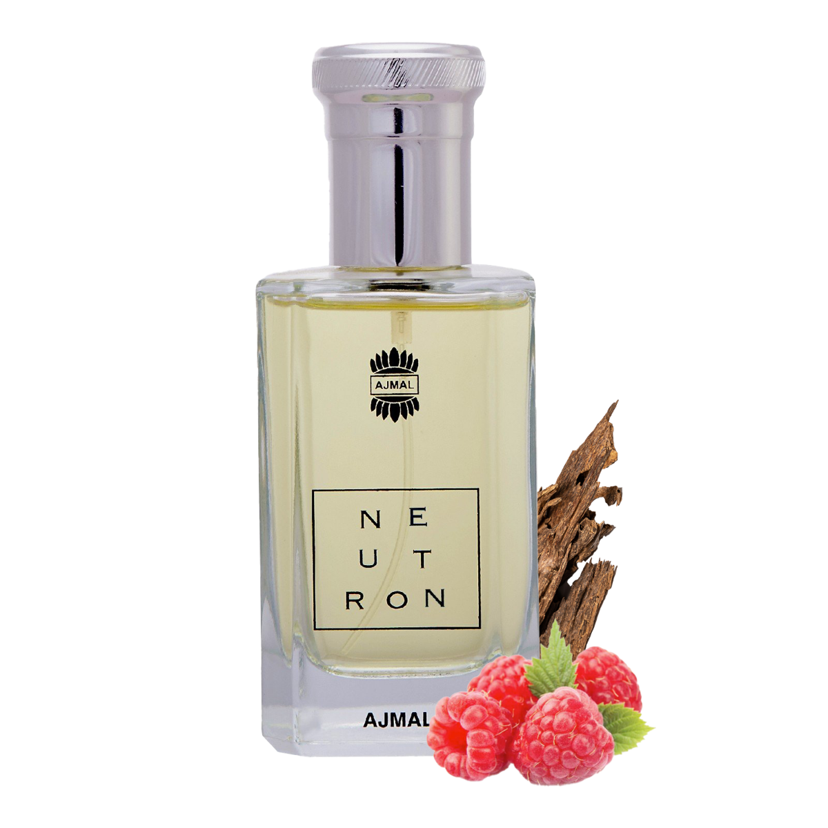 NEUTRON