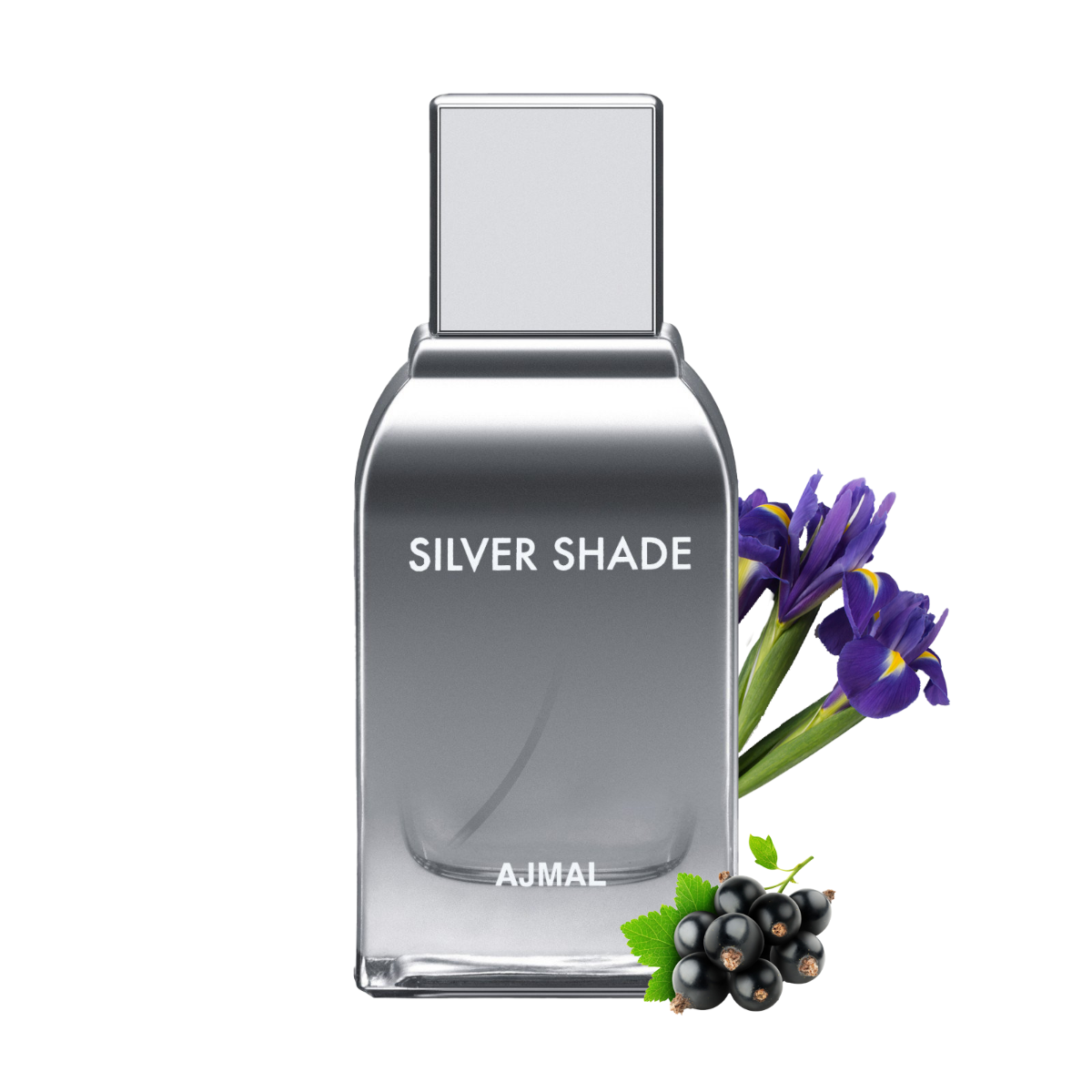Buy Silver Shade 100 ml for Male KSA Ajmal